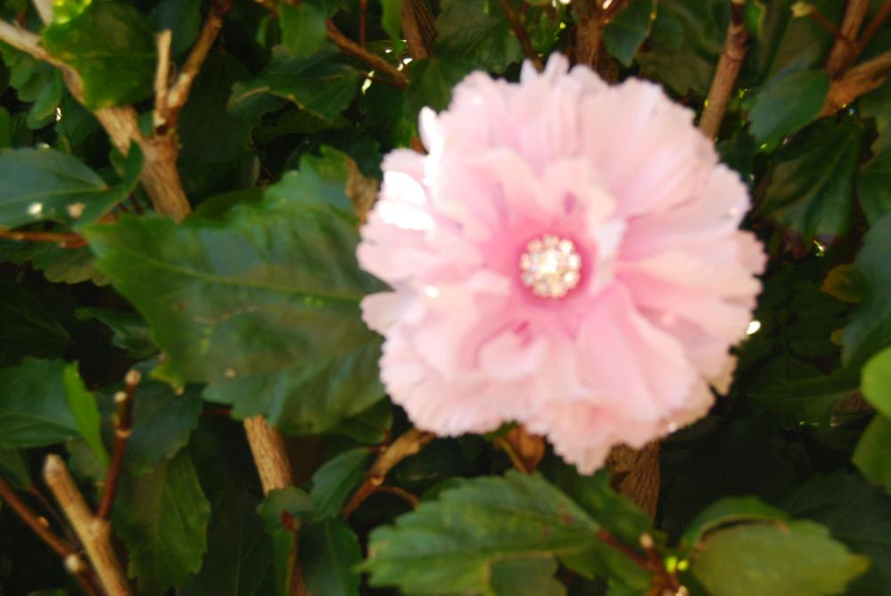 Pretty In Pink Carnation Rhinestone Hair Clip
